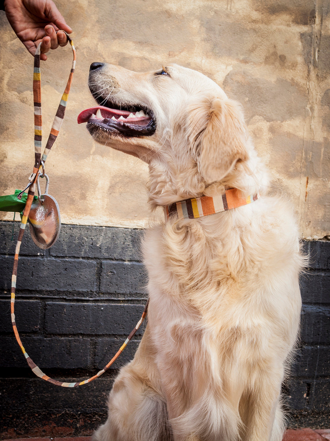 Vegan fabric dog collar in brown deckchair stripes