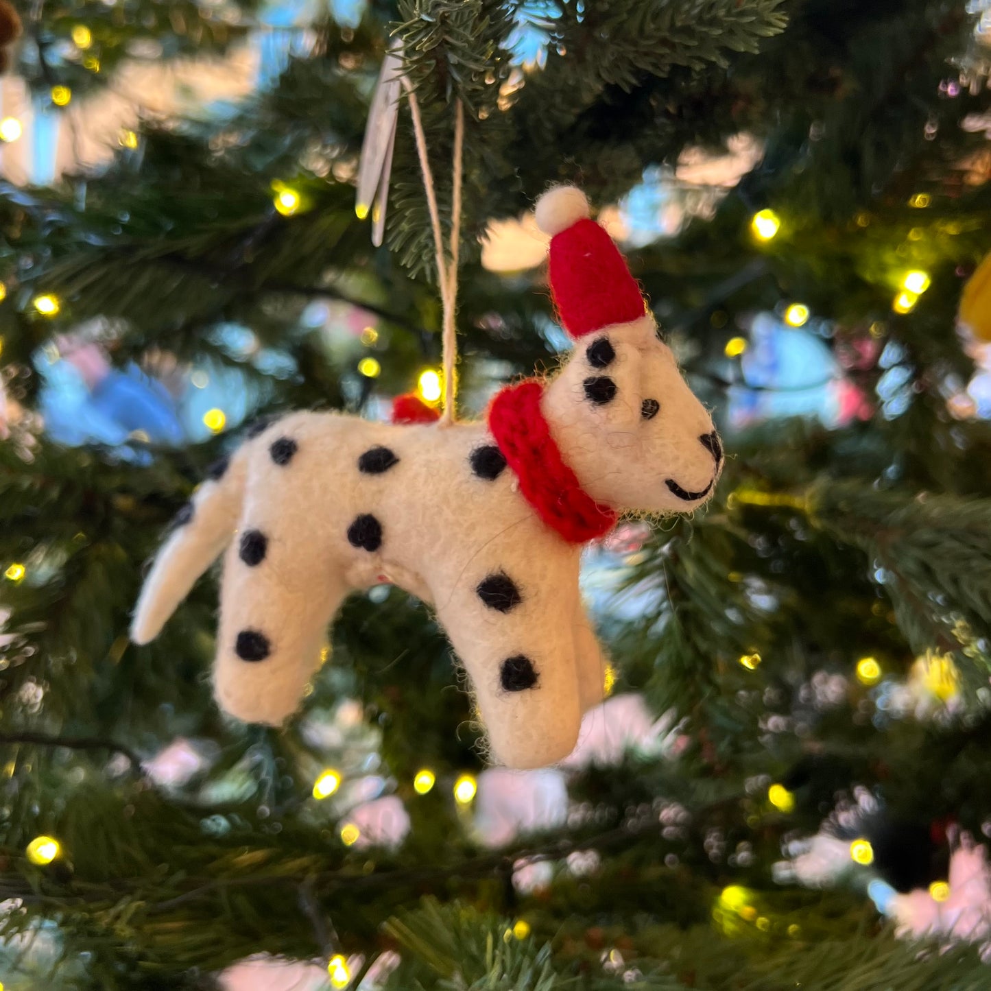 Dalmatian with Hat & Scarf Christmas Decoration by Amica
