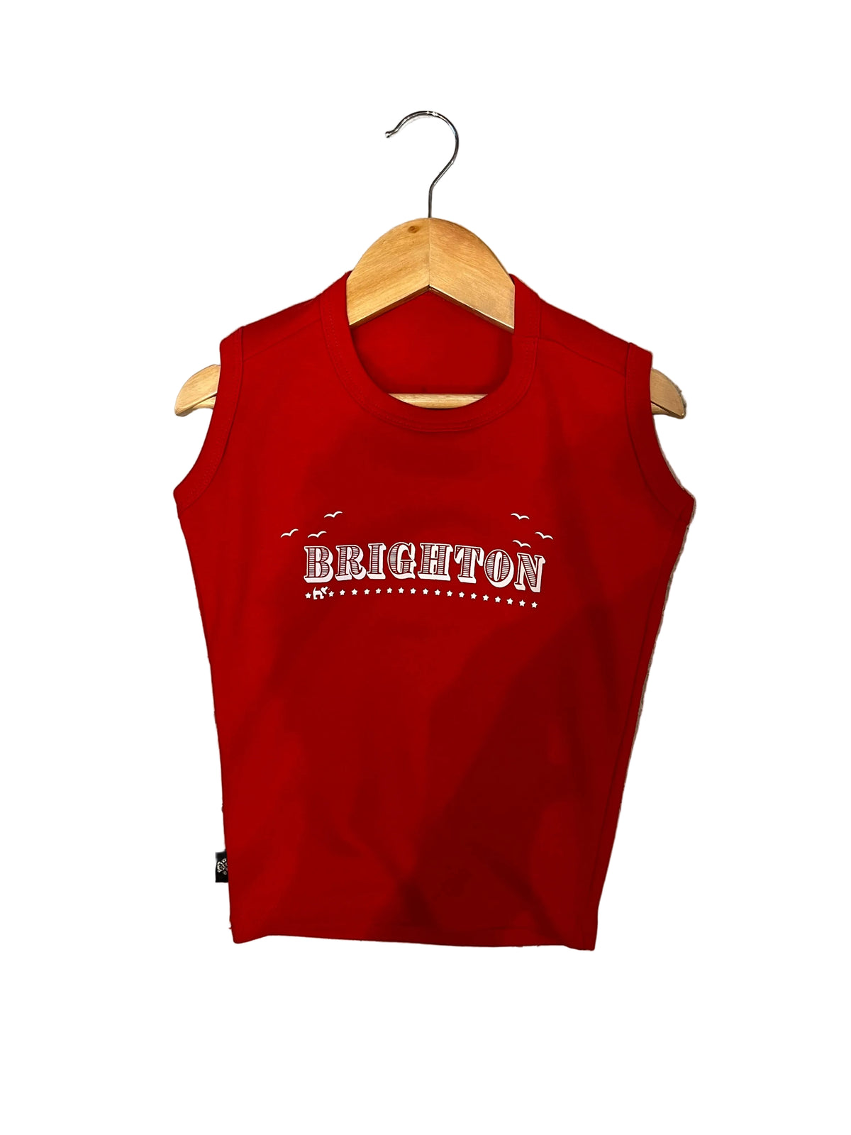 Brighton Print Dog Vest