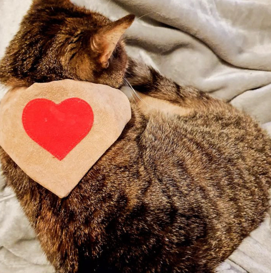 Slip on Dog & Cat Bandana - Red Heart on Tan Design