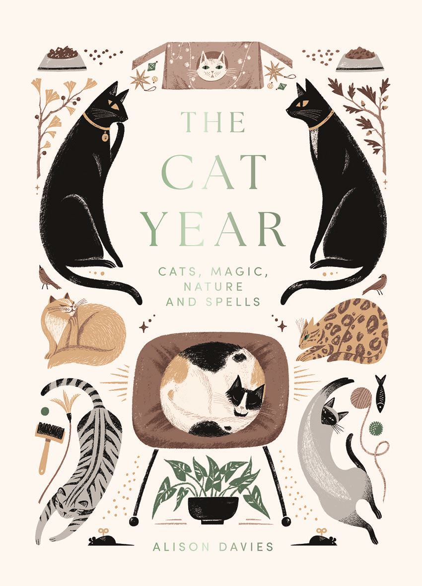 The Cat Year