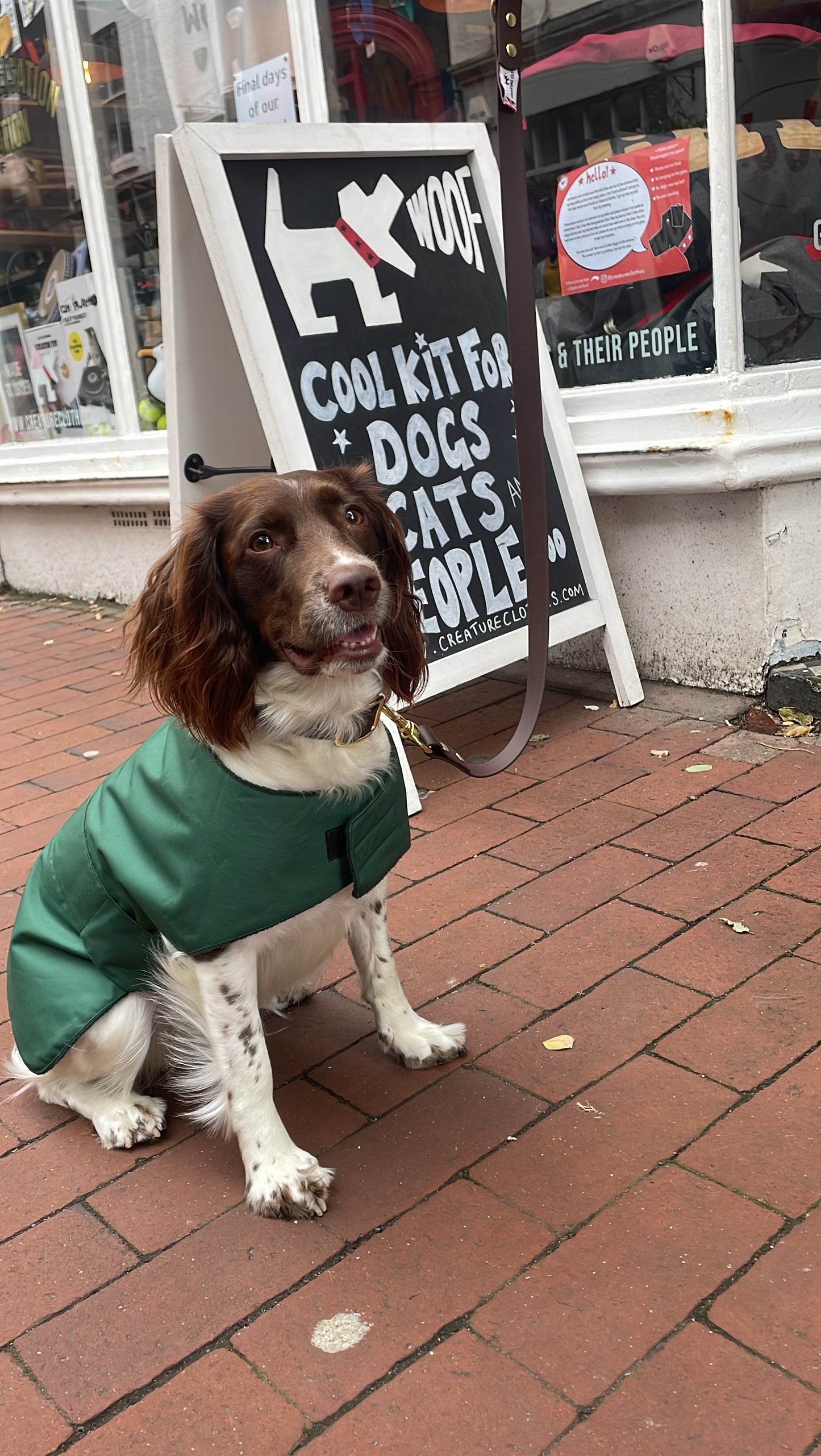 Waterproof Dog Coat in Dark Green