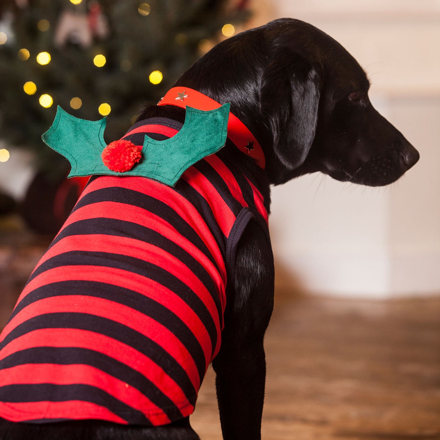 T Shirt with velcro on Batwings or Christmas Holly