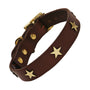 Brass Star Chocolate Brown Leather Dog Collar