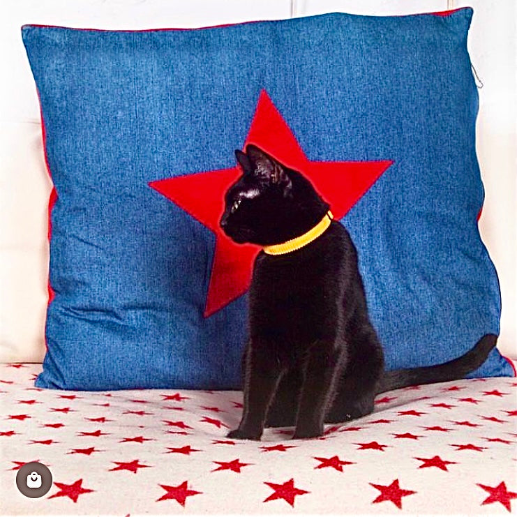 Cat Collar in Mustard Cord, Creature Clothes, safety cat collar