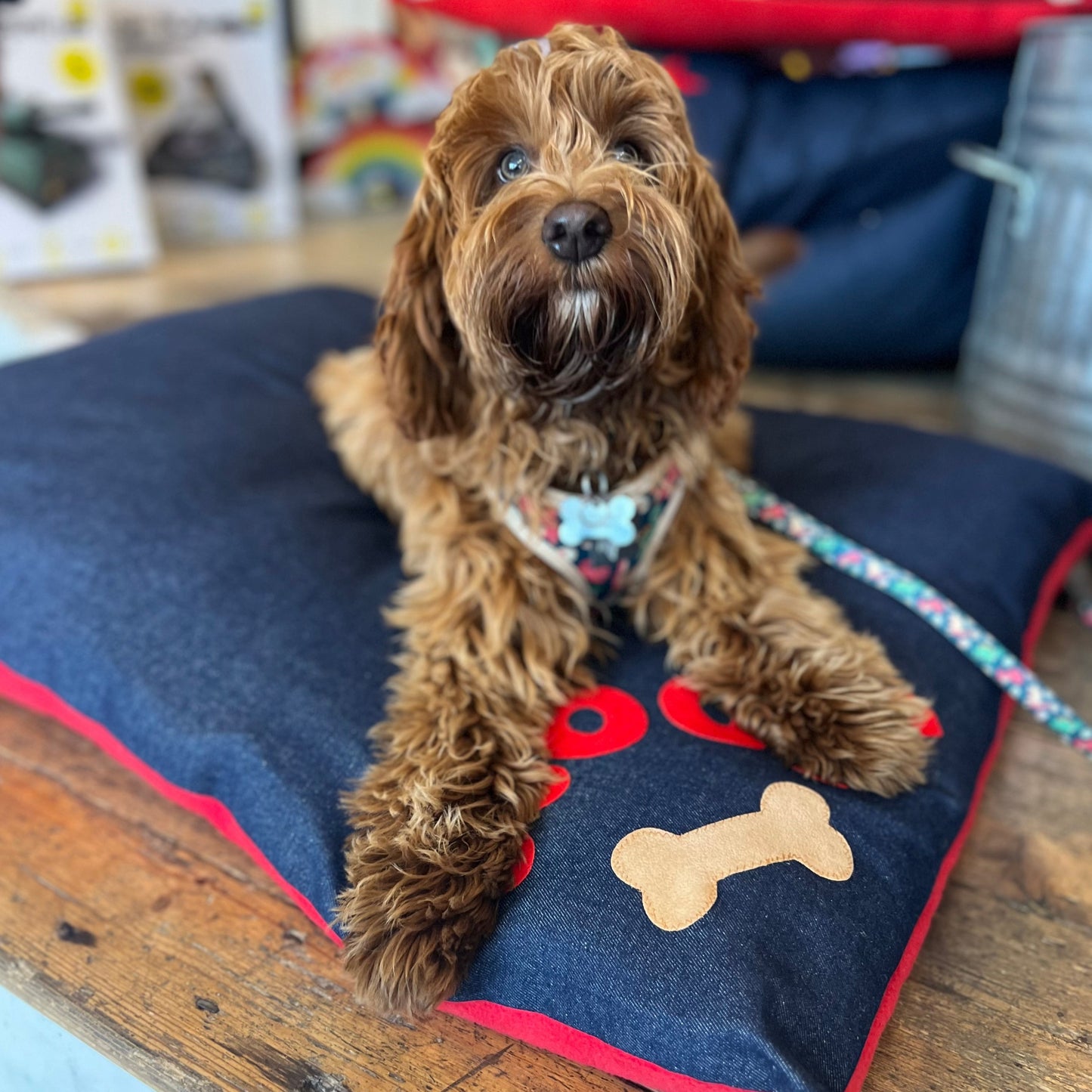 Dog bed in denim with red Woof letters and tan bone design, Creature Clothes