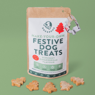 Christmas Gingerbread Festive Dog Treat Kit by Dog and Bond