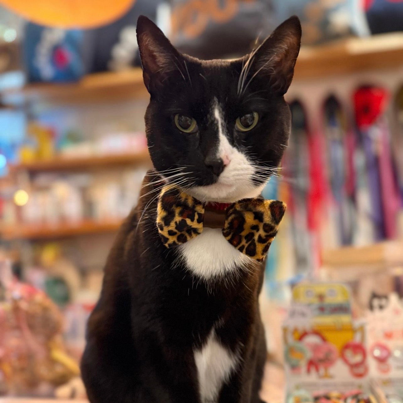 Cat Bow Tie in Leopard Print