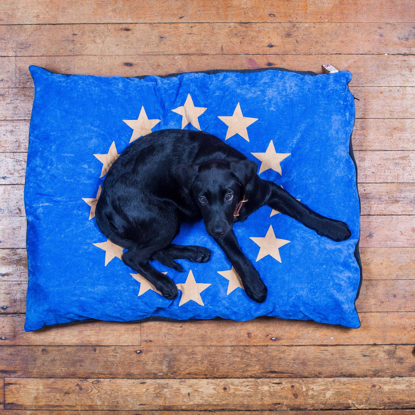 SALE - Dog bed in EU flag design