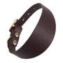 Sighthound dog collar in chocolate brown leather