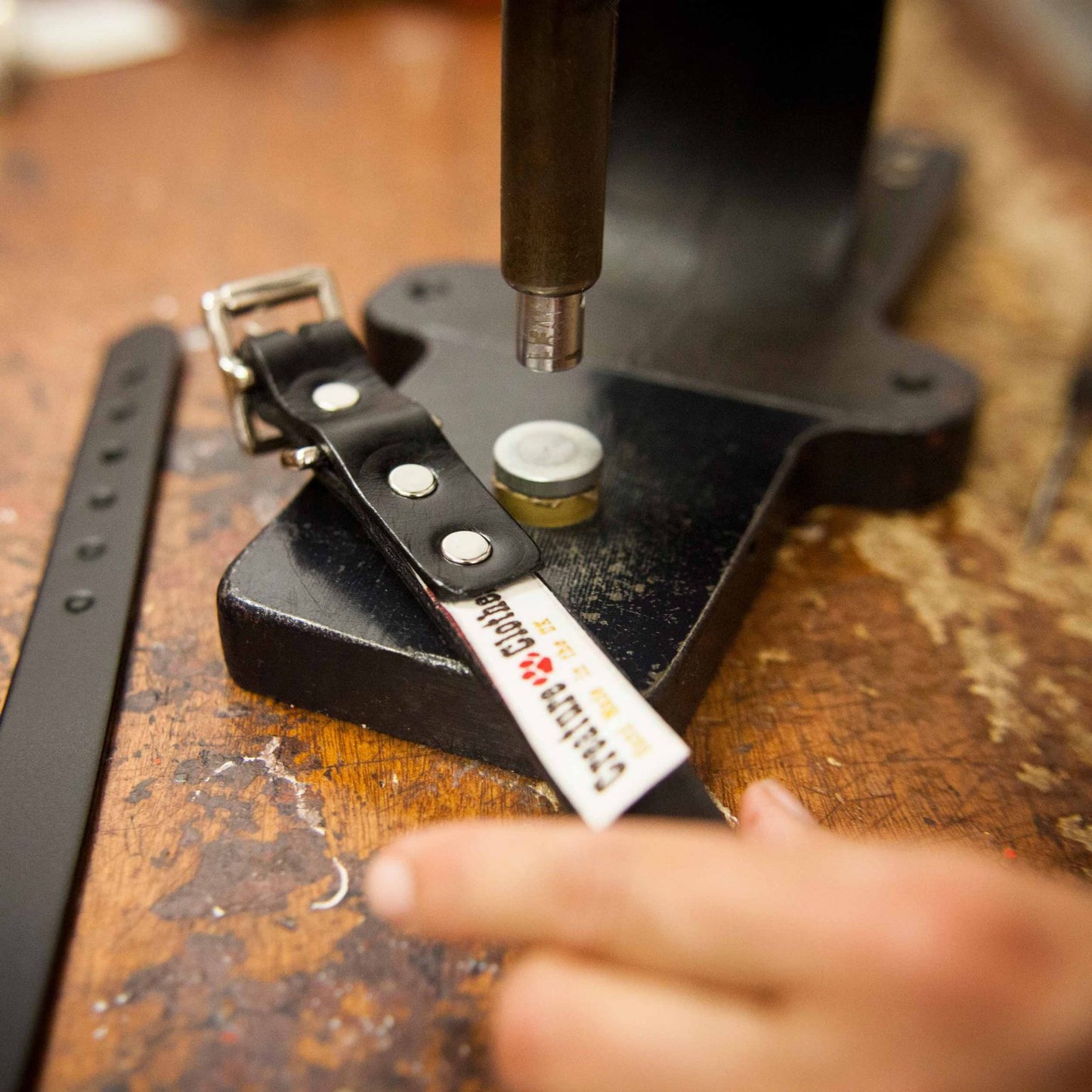 Silver Bones studs for dog collars being made in our workshop, Creature Clothes