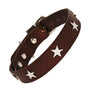 Silver Stars Chocolate Brown Leather Dog Collar