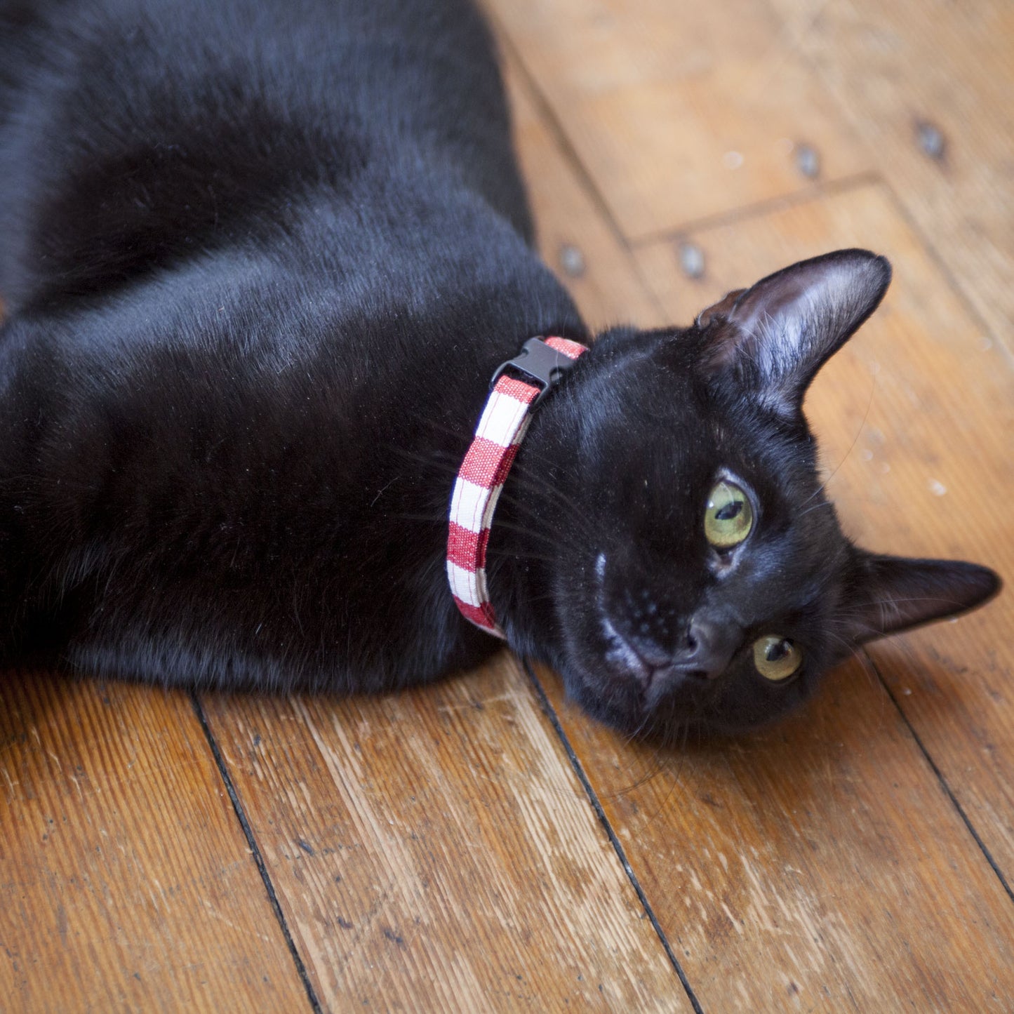 Cat Collar in Red and White Stripe, Creature Clothes, safety cat collar
