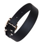 Waterproof vegan leather dog collar in black Biothane