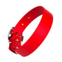 Waterproof vegan leather dog collar in Pongo Red Biothane