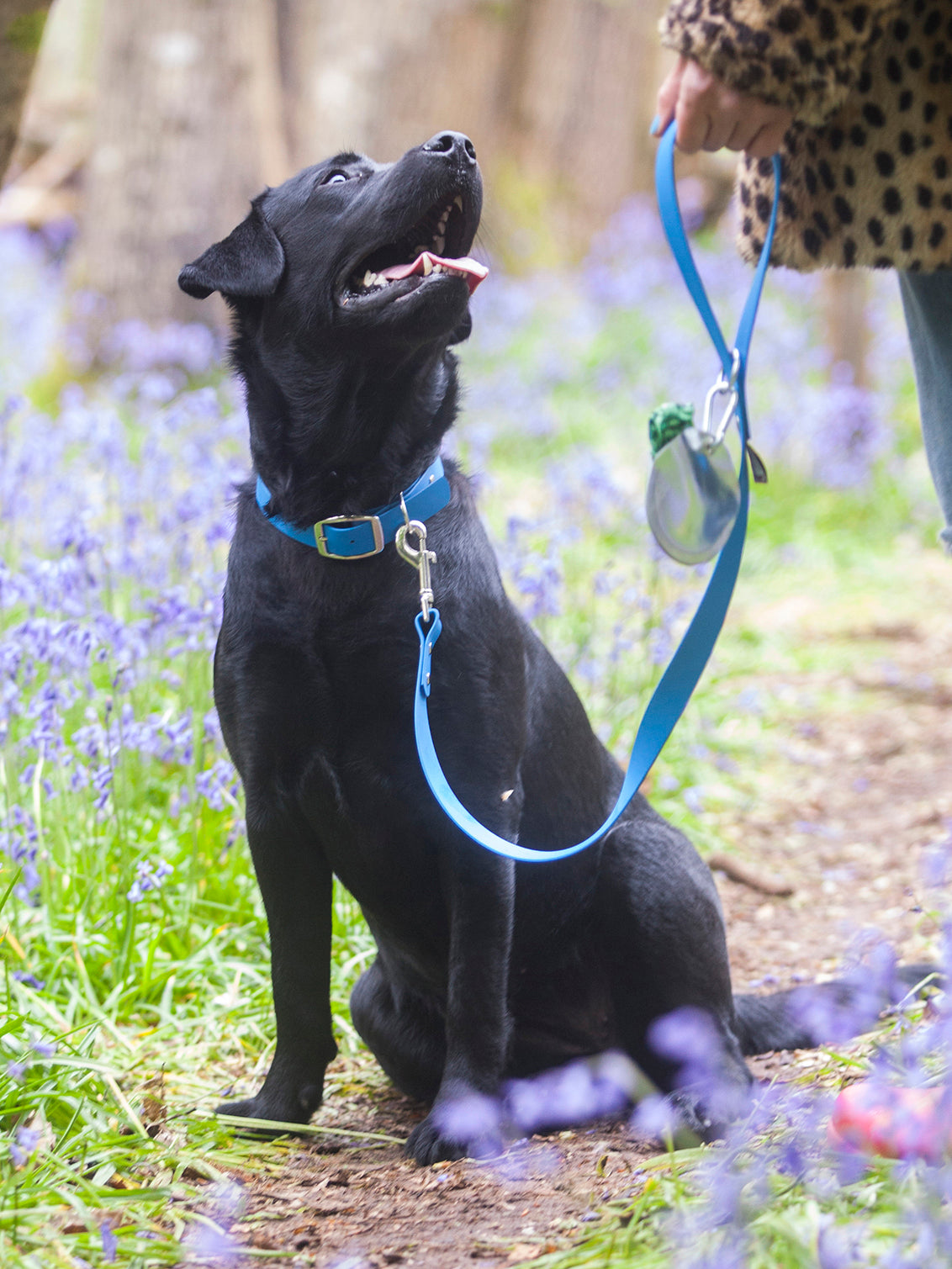 Biothane dog lead in waterproof vegan Pongo Blue leather