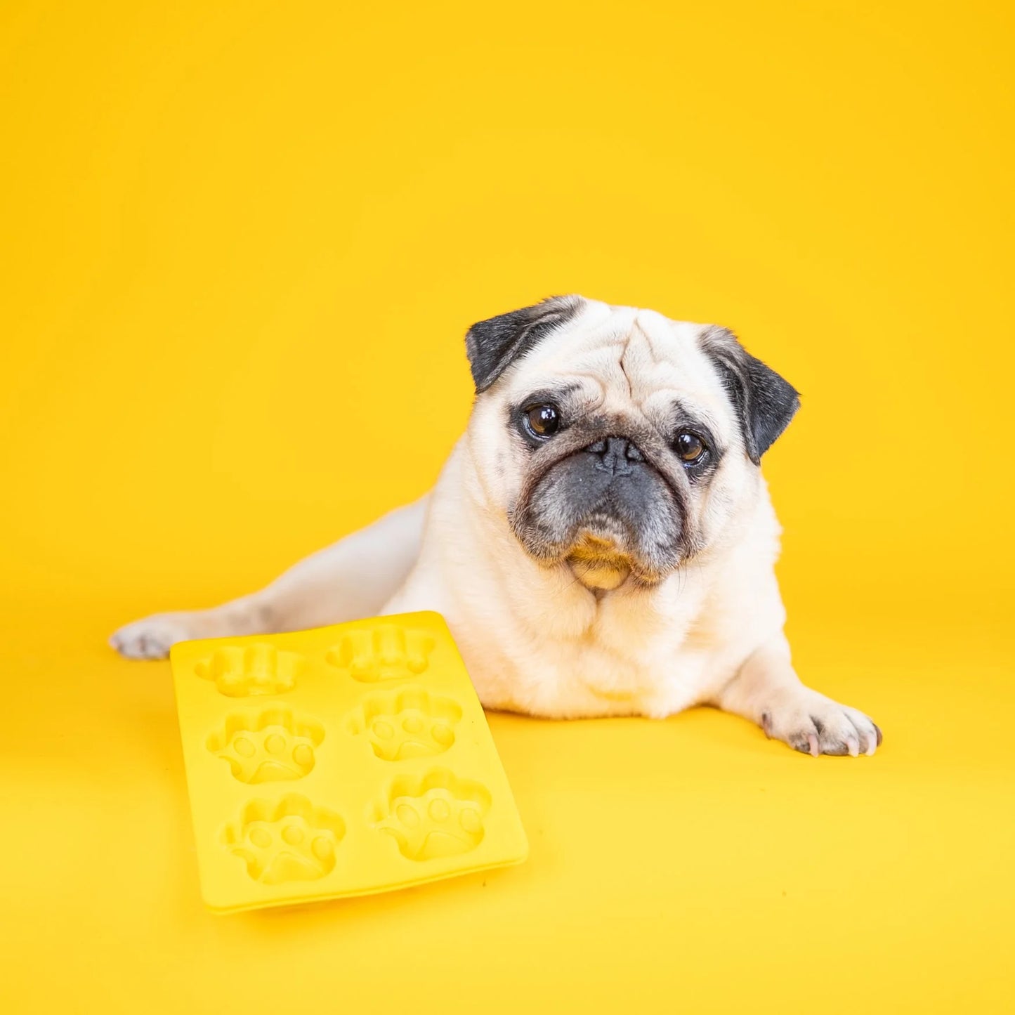 Dog & Bond Ice Cream Kit & Mould