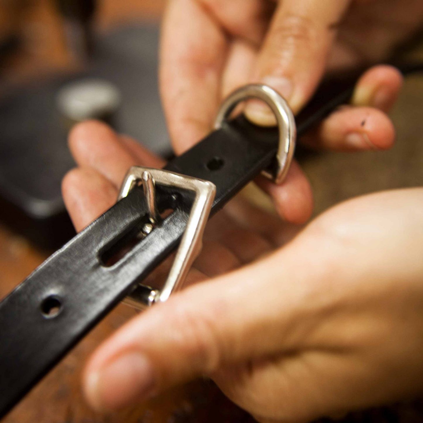 silver buckle closure for dog collars close up, Creature Clothes