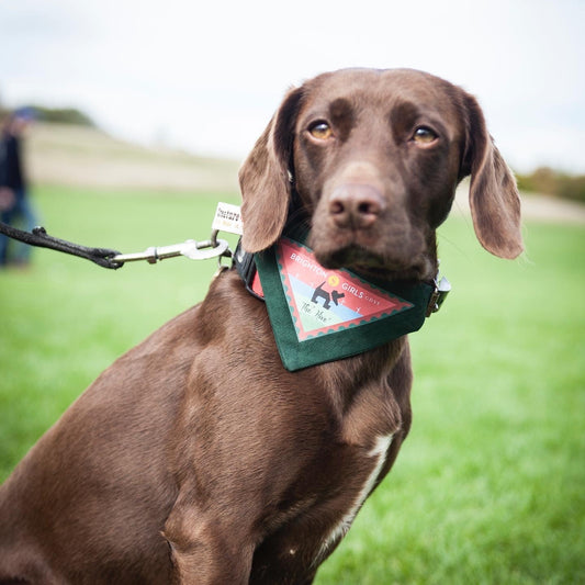 Brighton Girls Community Dog Walk