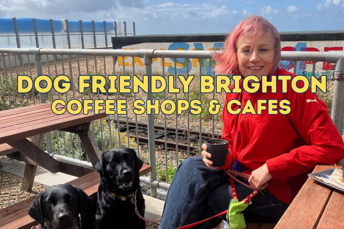 Dog Friendly Brighton - Coffee Shops & Cafes