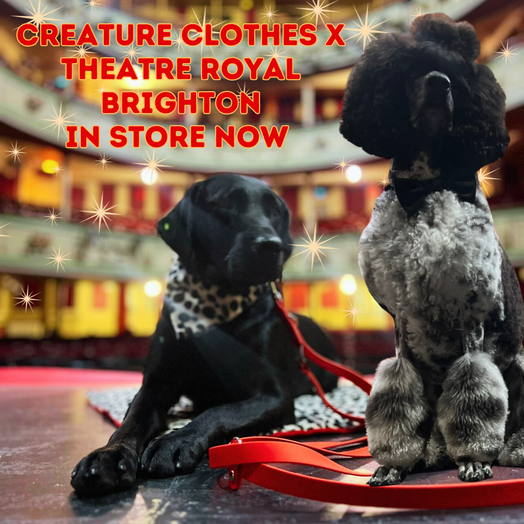 Creature Clothes x Theatre Royal Dalmatian Collection