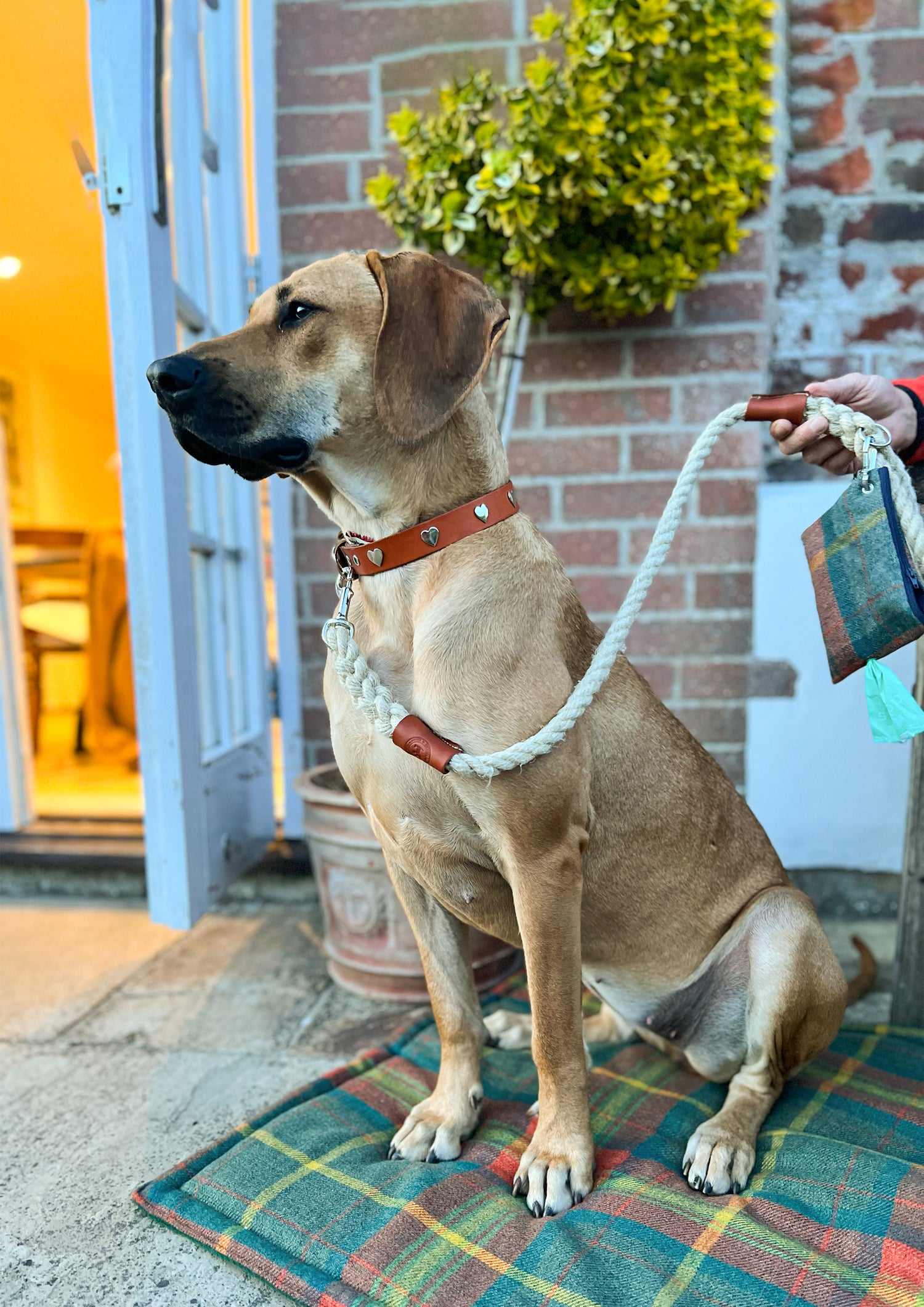 Countryside Collection