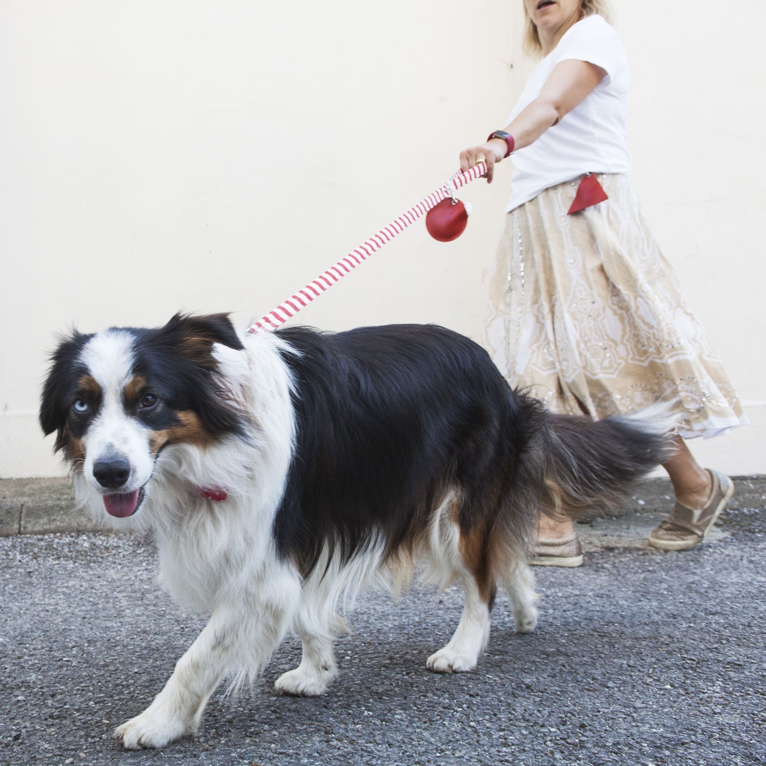 vegan fabric leads, Creature Clothes