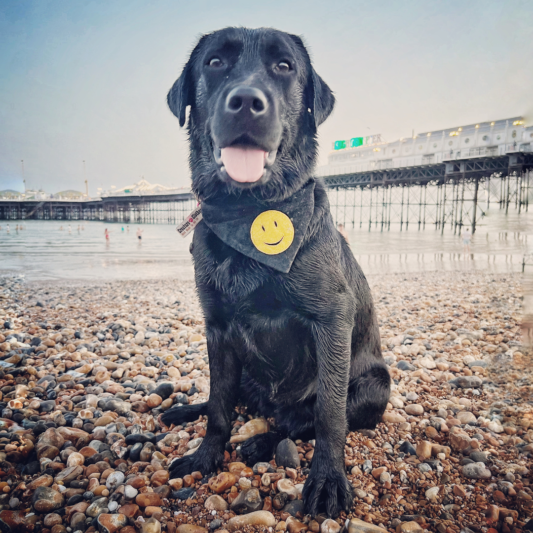 Smiley Face Collection