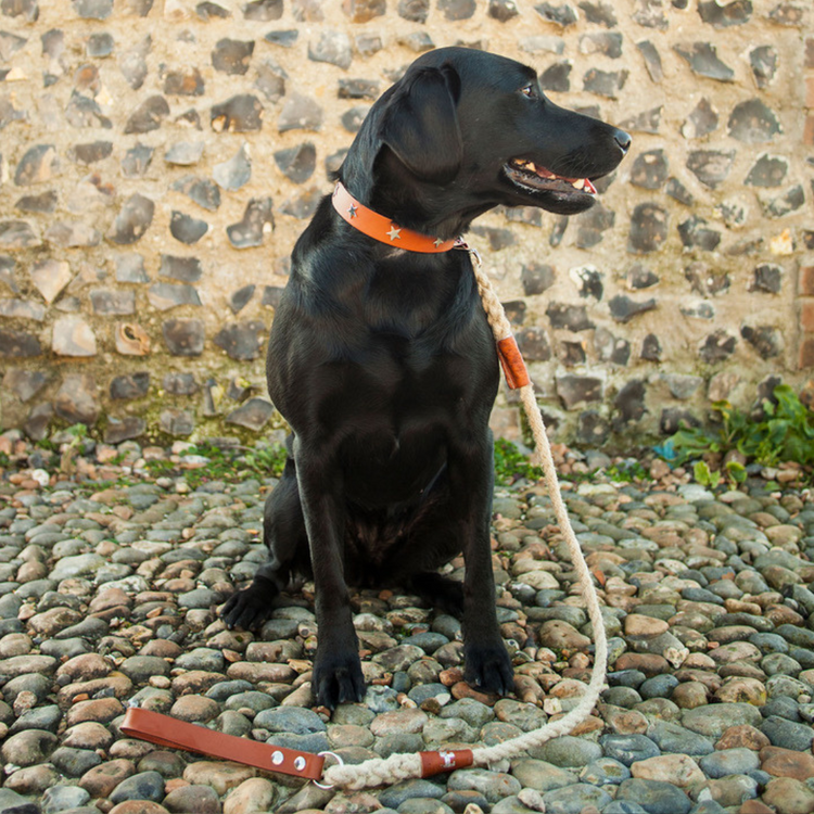 Rope and leather dog leads, Creature Clothes