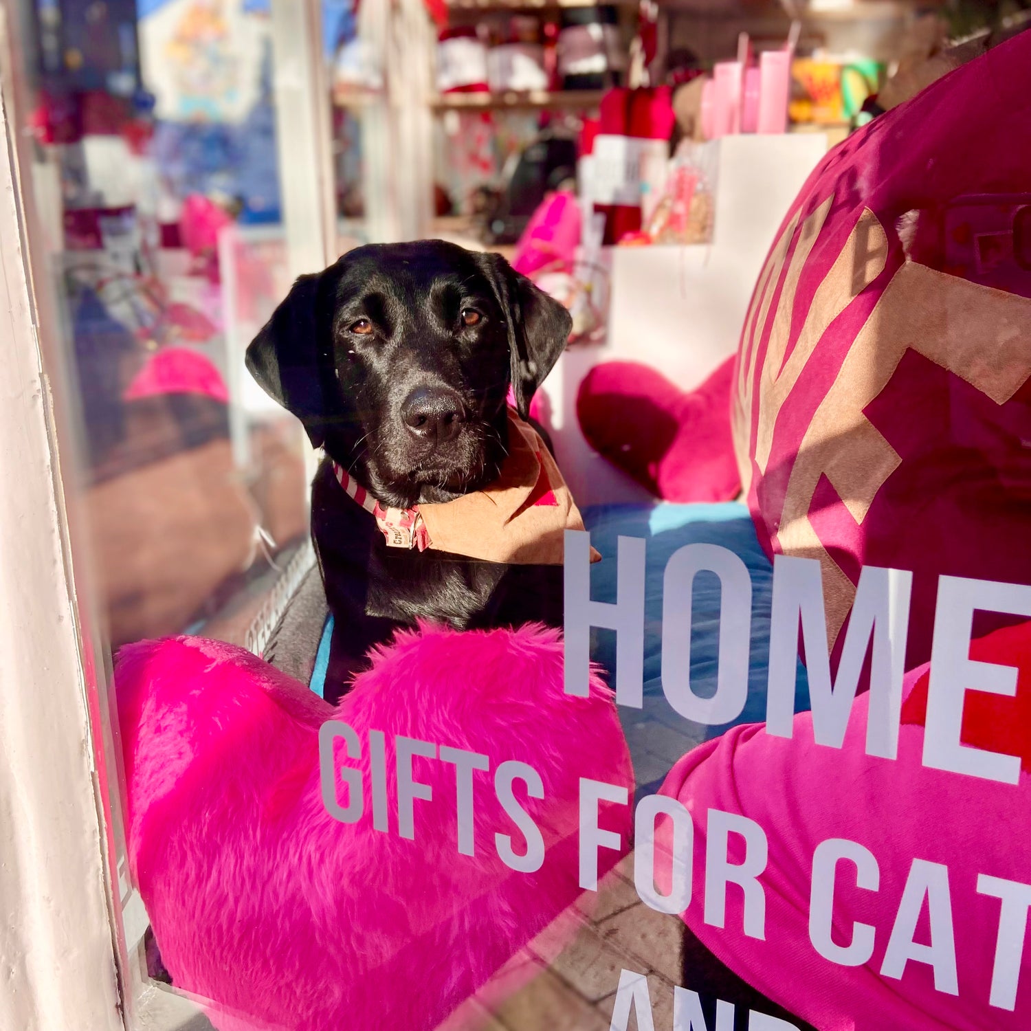 Valentines Collection