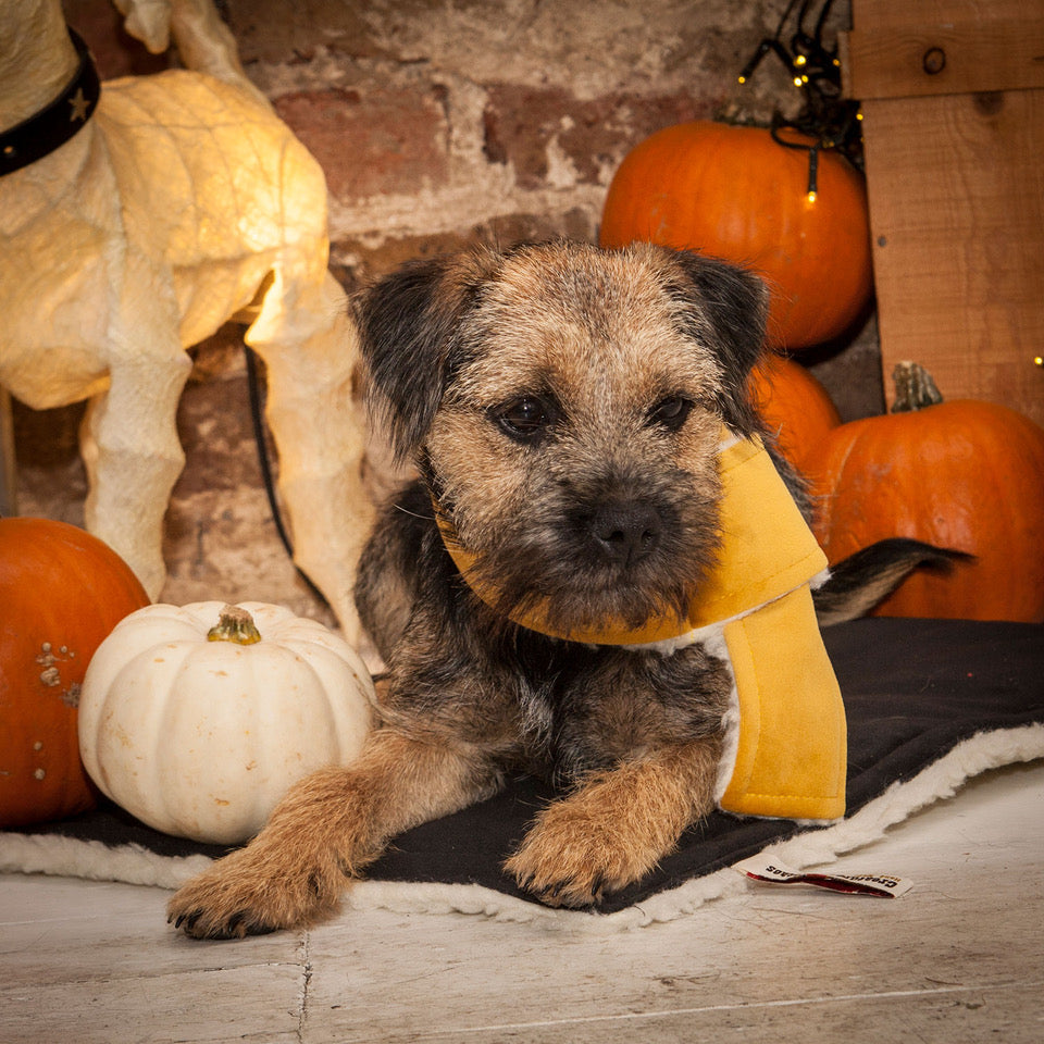 The Velvet Collection