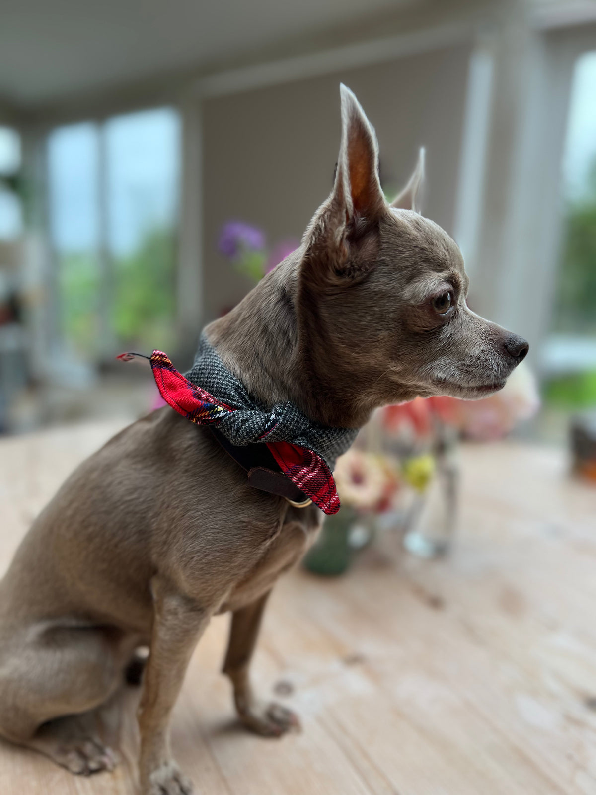 Tie on Dog Bandana - Red Tartan / Grey Jack Tweed