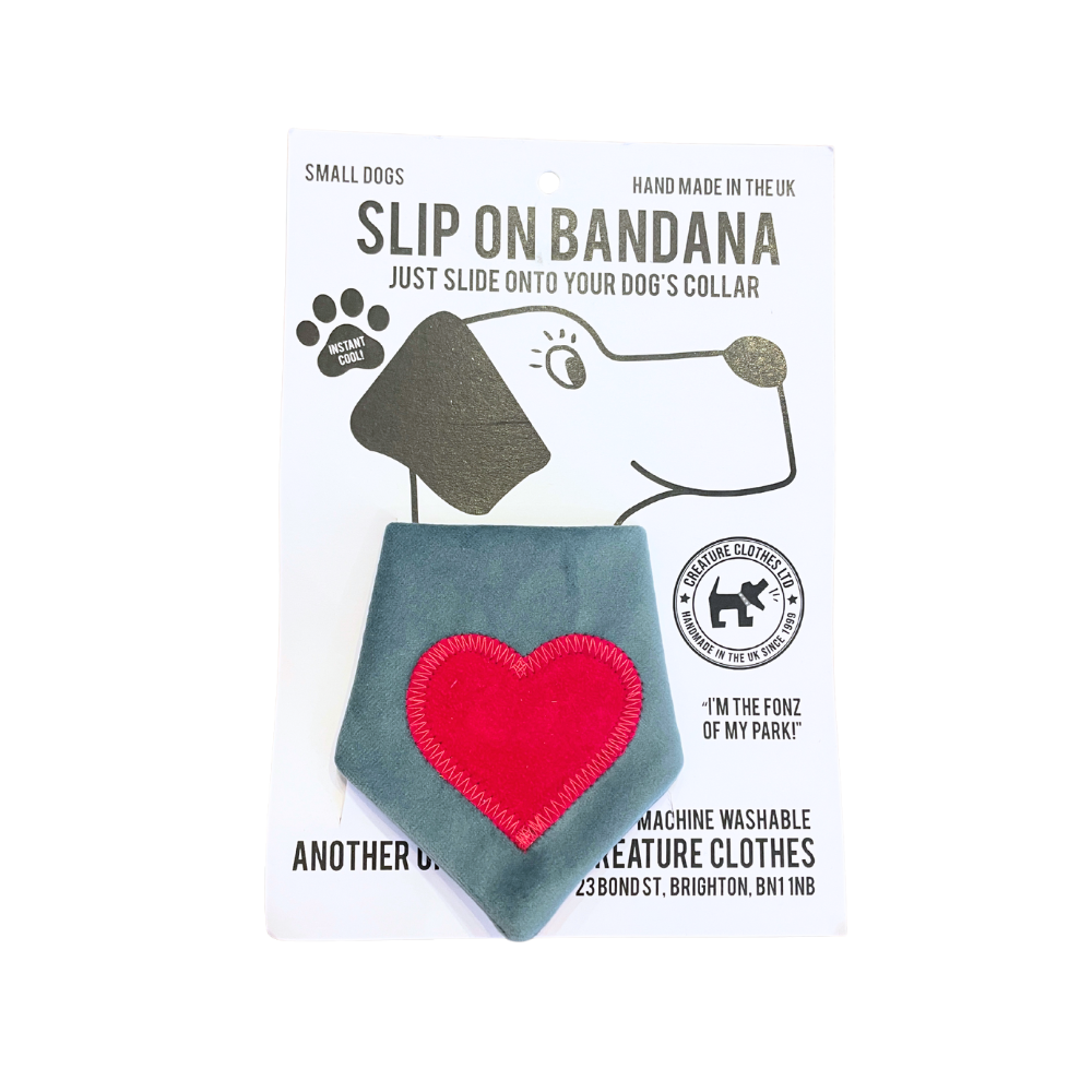 Slip-on Dog & Cat Bandana - Duck Egg Velvet with Pink Heart