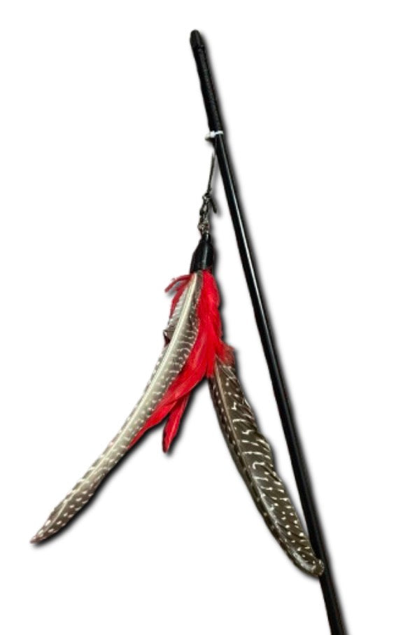 Cat Wand Toy with Feathers