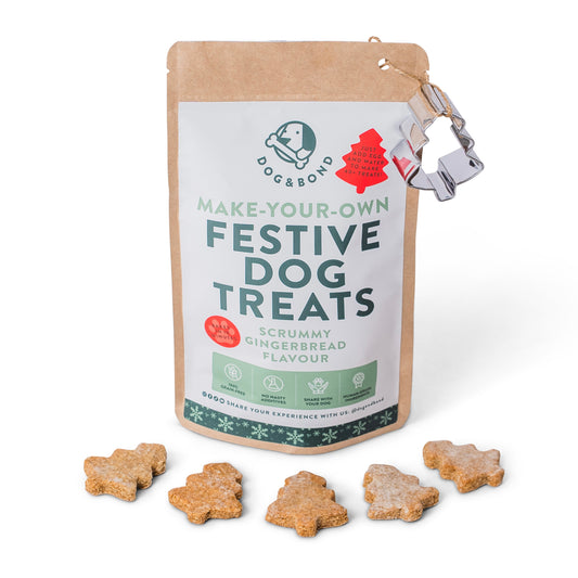 Christmas Gingerbread Festive Dog Treat Kit by Dog and Bond