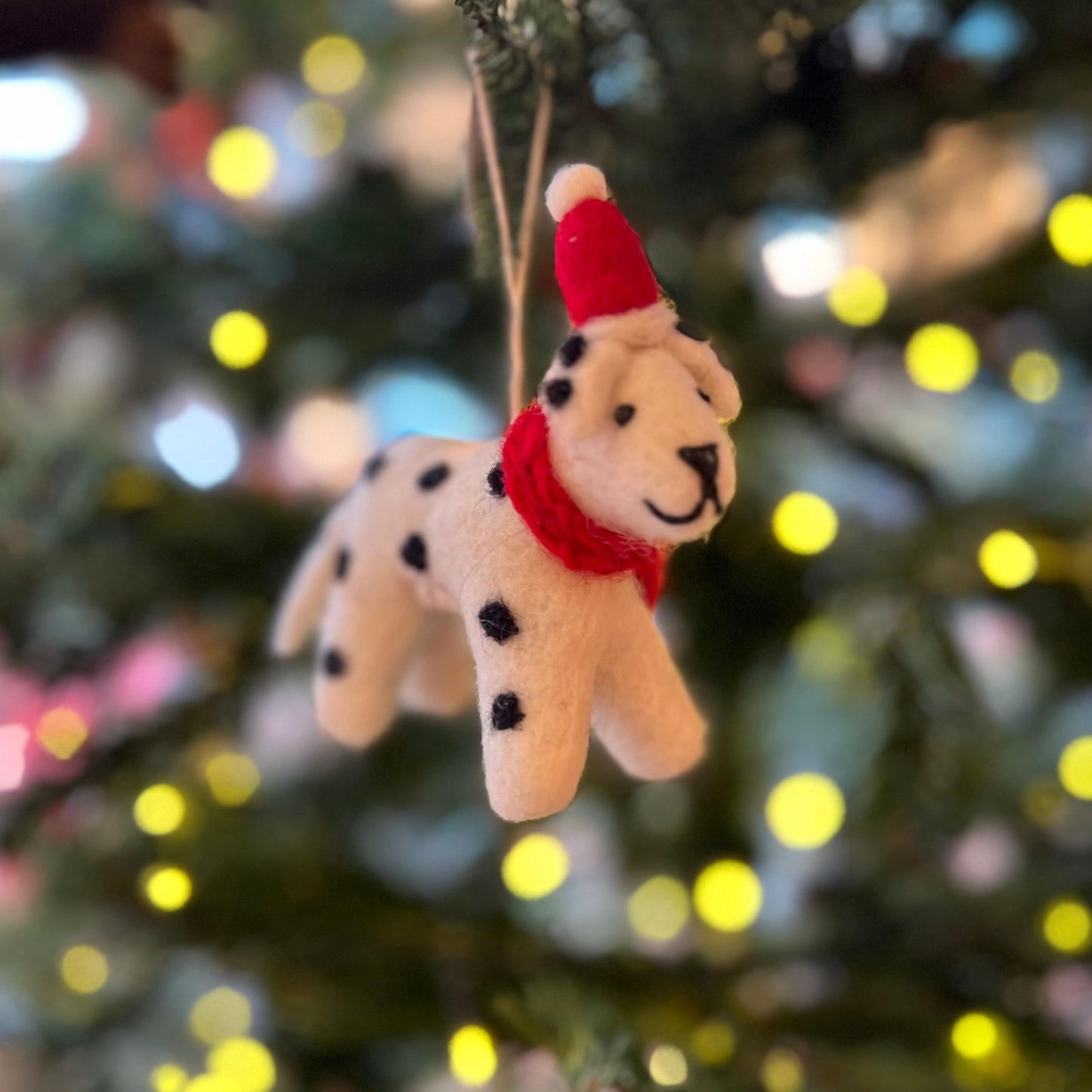 Dalmatian with Hat & Scarf Christmas Decoration by Amica