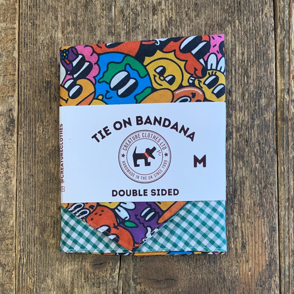 Tie on Dog Bandana - Green Gingham and Cartoon Print