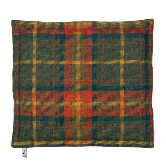 Padded travel blanket for dogs and cats. Green Tweed and sherpa