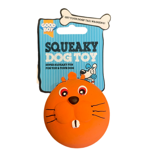 Good Boy Squeaky Ball