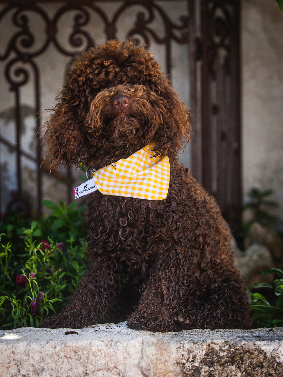 dog bandana, bandanas for dogs, yellow gingham design, dog bandana, slip on collar dog bandana, bandanas for dog collars, Creature Clothes