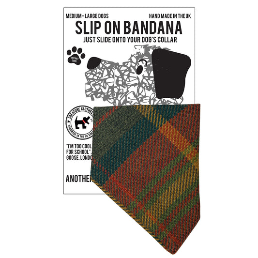 Slip on Dog Bandana in Green Tweed