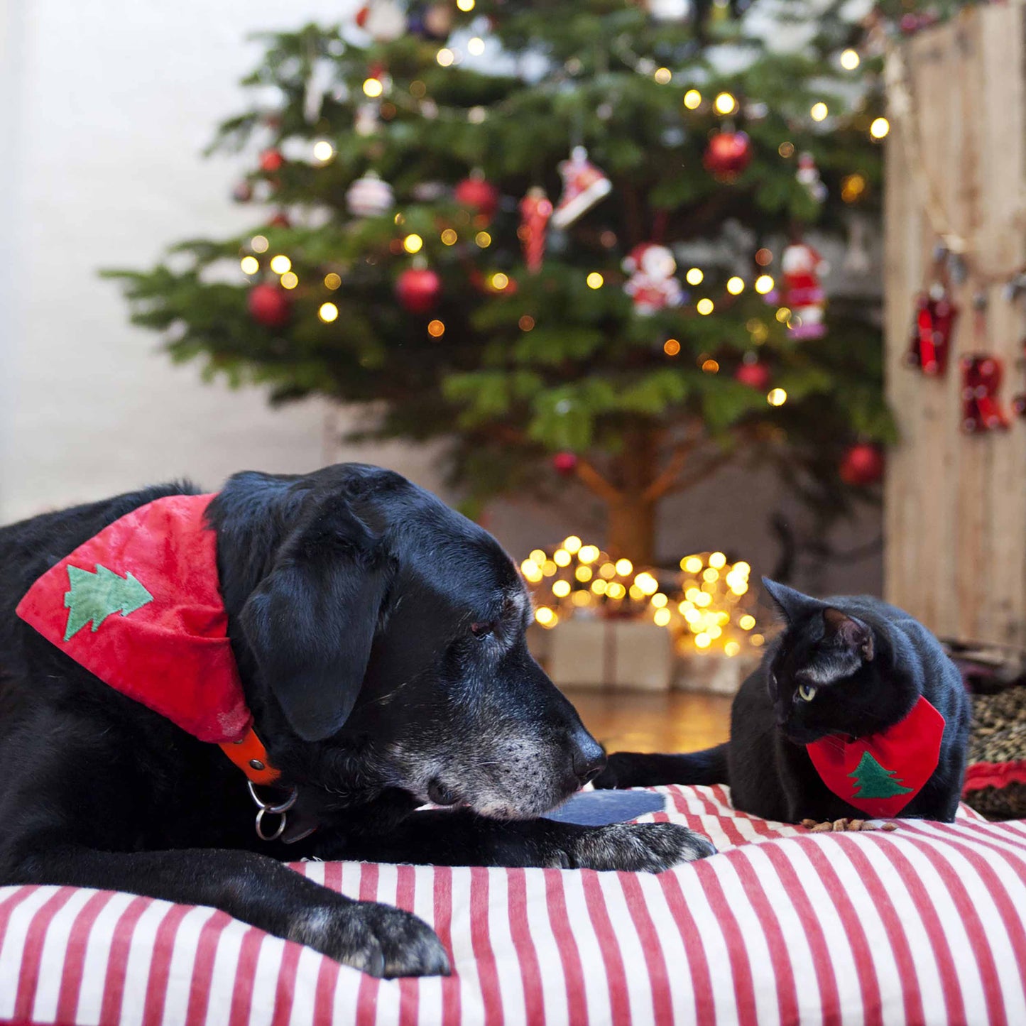 Slip on Dog & Cat Bandana - Classic Christmas Tree Design