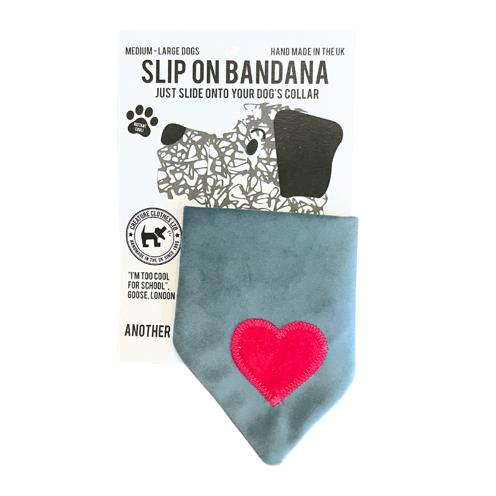 Slip-on Dog & Cat Bandana - Duck Egg Velvet with Pink Heart