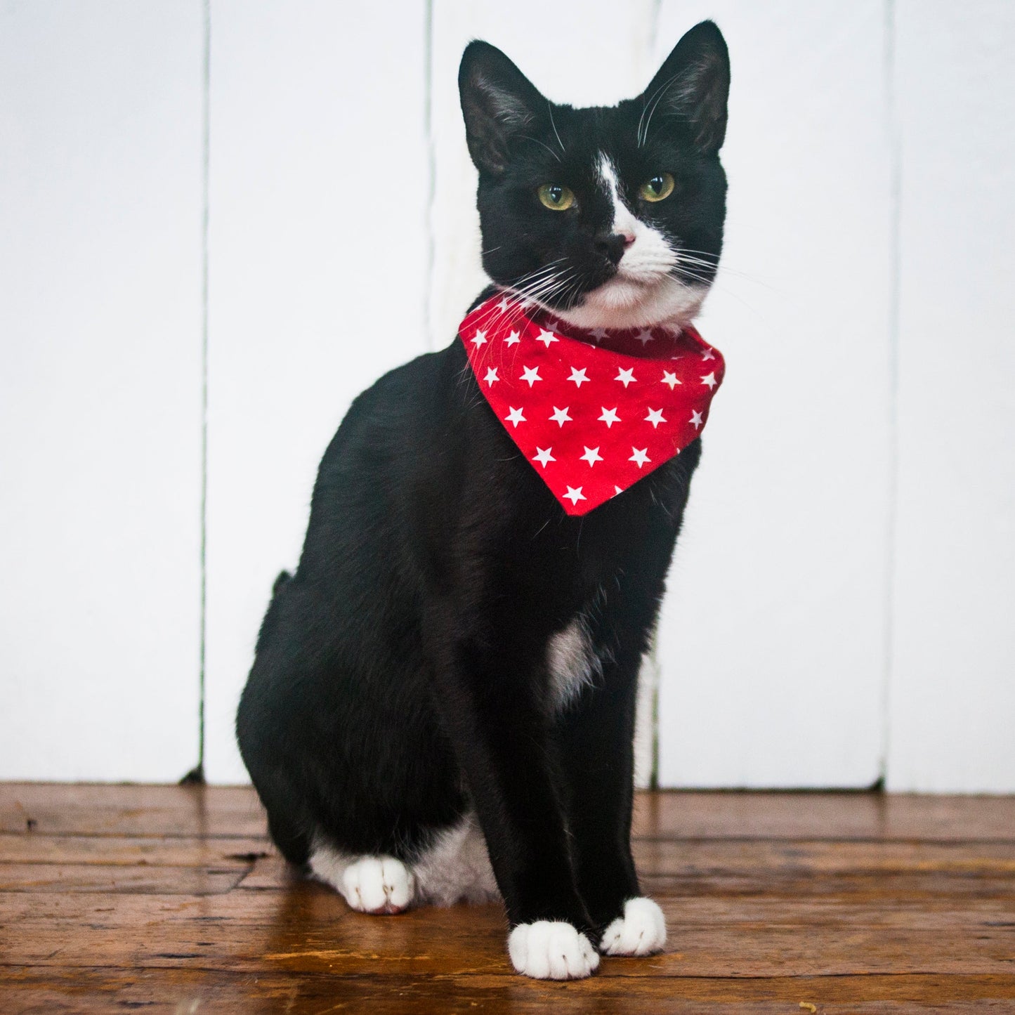 Slip on Dog & Cat Bandana in Red Star Print Design