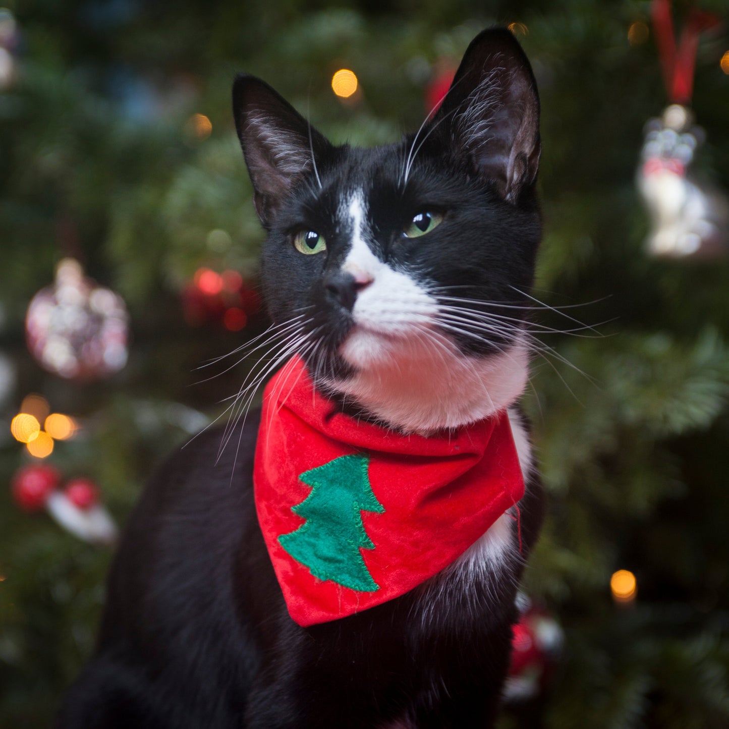 Slip on Dog & Cat Bandana - Classic Christmas Tree Design