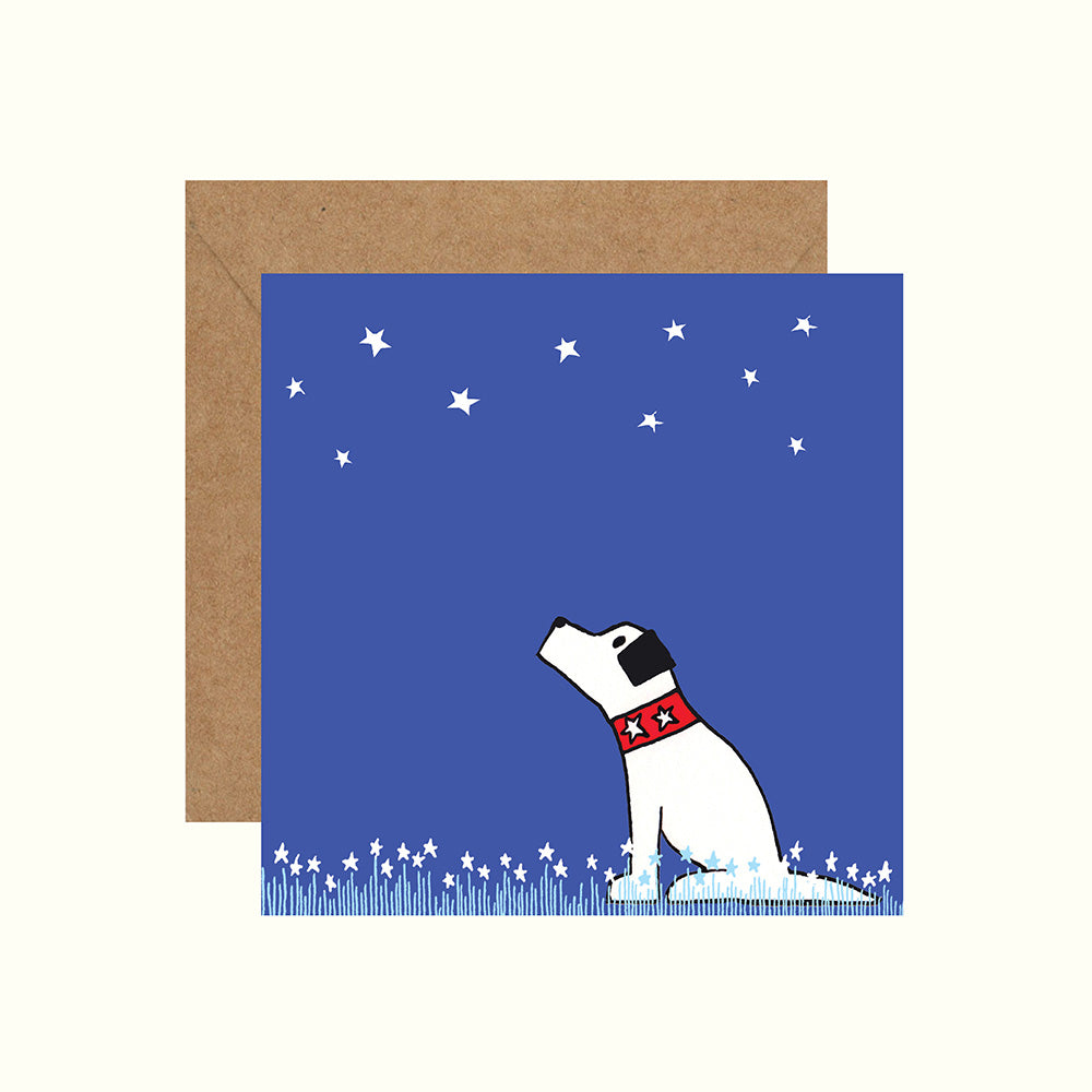 Creature Clothes Greeting Card - Stargazer