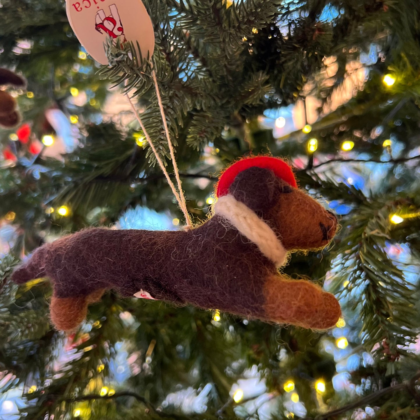 Sausage Dog avec Beret Christmas Decoration by Amica Felt