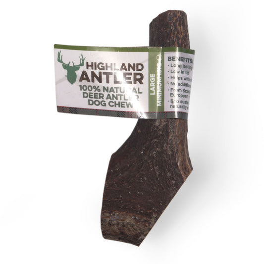 Antler Chew