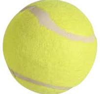 Ex Pro Recycled Tennis Ball