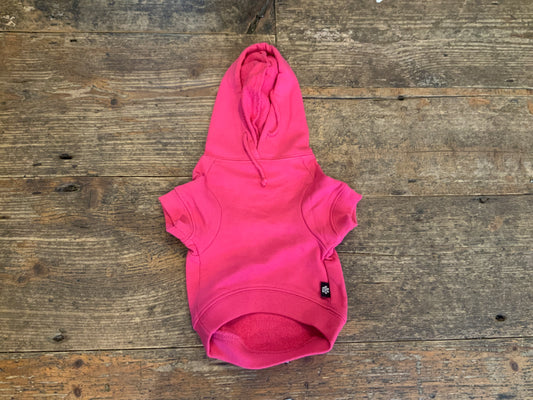 Dog Hoodie
